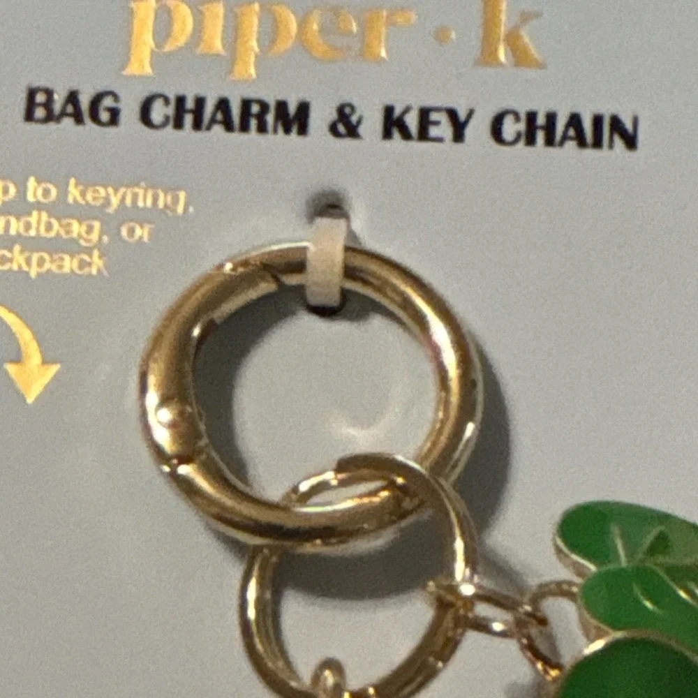 piper k Aloe Cacti succulent Botanical Plant Key Chain Charm Ivy  Enamel READ